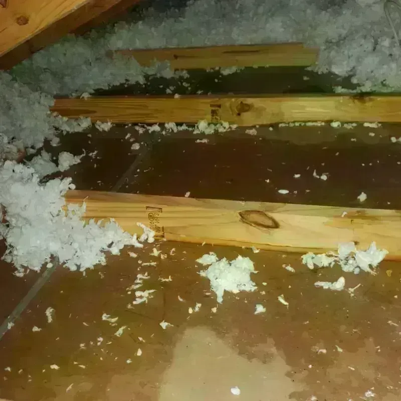 Attic Water Damage in White Sulphur Springs, MT